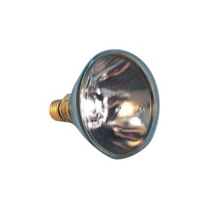 Par 38-150 W/24 V Bulb