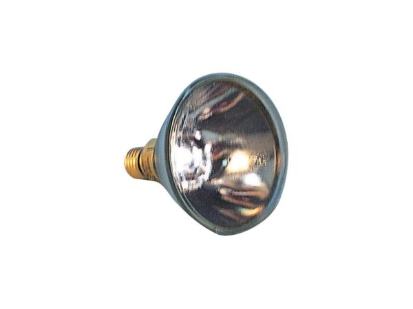 Par 38-150 W/24 V Bulb